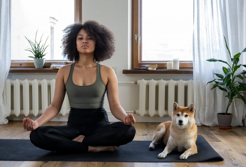 Une Femme Fait Du Yoga En Position De Lotus Sur Son Tapis Avec Son Chien Husky Couché à Ses Côtés